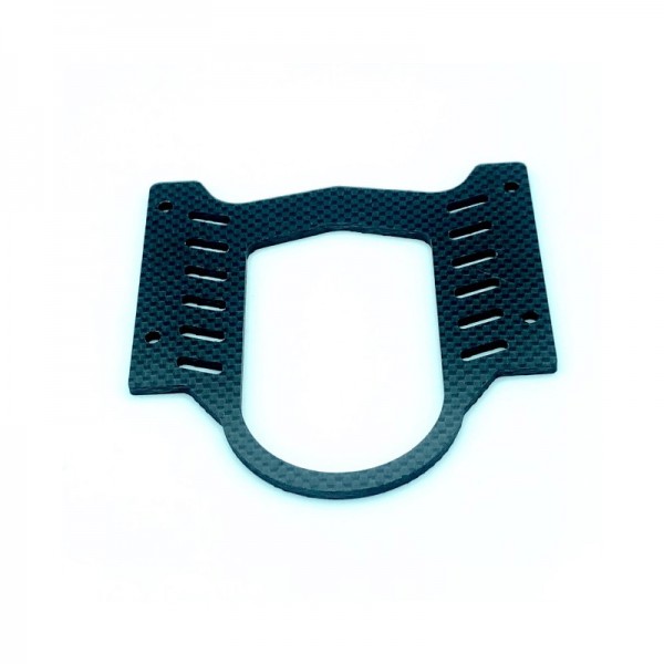 Tank Carbon Plate FR2 EVO - 1pc