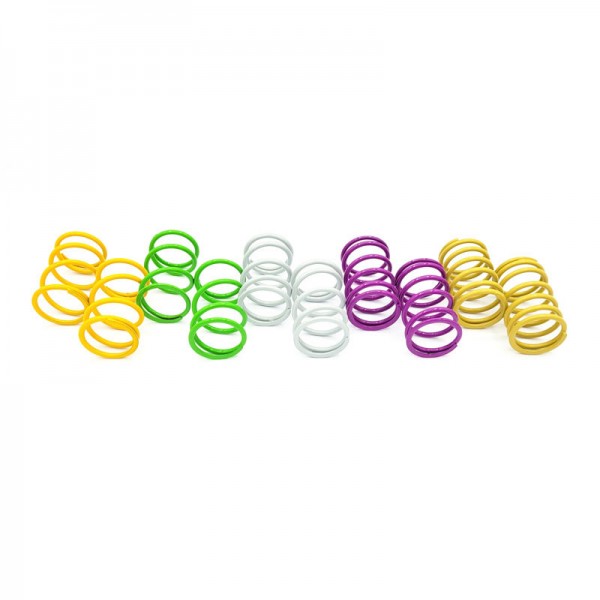 SATZ PROGRESSIVE FEDERN (5) GOLD-PURPLE-SILVER-OCRA-GREEN FLUO)