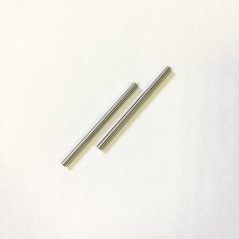 Pivot Pin hinten unten 64mm (2)