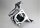 Zenoah 2 Bolt Crankcase Complete