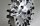 Zenoah Flywheel light  (G230/240/260/270)