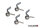 Springs Tourex Big Speed Adjustable II 1,8mm