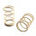 Shock Spring white - 5.0 Coils - Medium (2)