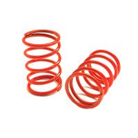 SHOCK SPRINGS RED - 5,5 COILS - MEDIUM/SOFT (2)