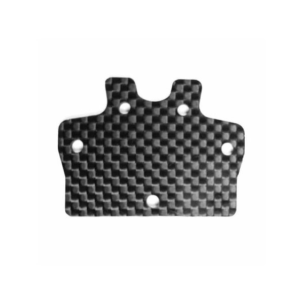 Empfängerplatte FR2.24 Carbon (1)