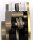 TOUREX Power REVERSE Top Gun Mix Beläge 11.700-12.300 U/min 2,4 mm Federn