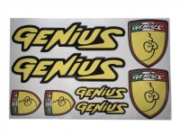 DECALS GENIUS PCS. 6