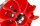 SCS M2 Power Fan Wheel 64 Set